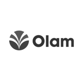 Olam